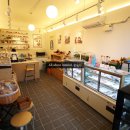 달리애견 이미지