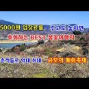 (여행)섬진강 물길따라 전국에서 100만이 몰려 인산인해 봄꽃 잔치가 벌어진 광양매화축제 이미지