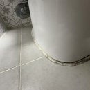 대동다숲 | 거제 집수리 양변기 실리콘 시공 작업 후기 아주동 대동다숲 아파트