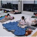 주짓수코어 - 포항시 남구 효자동길2번길 19 | 주짓수코어