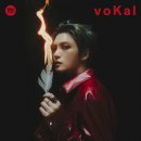 Rock STAR 뮤비 &amp; voKal 플레이스트 커버 이미지