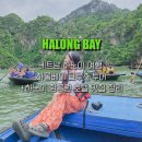 하노이가이드맨 | 베트남 하노이 여행 하롱베이 크루즈 투어 +하노이 항공권 호텔 맛집 정리