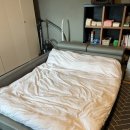 슈가몽 544 이미지