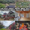 거림골 | 산청 지리산 거림계곡 (내대계곡, 물놀이, 평상, 숙소, 지리산해오름펜션, 출렁다리) 경남 산청 가볼만한곳