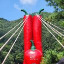 청양 출렁다리에서 한컷🌶🌶 이미지