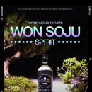 주식회사 지에스25사당까치 | 증류주 추천 :) 품절대란🔥🔥 편의점에 풀려도 구하기 힘든거 실화? 재범팍의 원소주 후기✨✨(+구매한 매장)