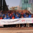 피닉스인터내셔널