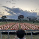 태화강 빛 축제 | ‘태화강 빛 축제(드론쇼)’가 볼 만 하다(23년~25년 비교 포함)