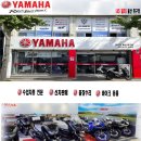 울산바이크렌트카 티스토리