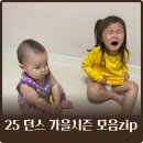 보라어린이집 | 25 던스 가을 시즌 시트러스 옐로우 클로버 보라돼지 초코야채 할리퀸 후기 모음 zip