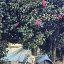 서귀포농업협동조합서부지점 이미지