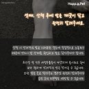 올어바웃펫 이미지