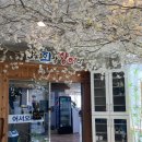 회랑장어랑 이미지