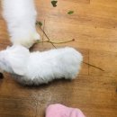 청플라워디자인학원