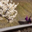 삼호공원 화장실 이미지