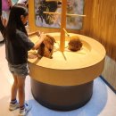 북부초등 | 동두천 아이와 갈만한 곳 경기북부 어린이박물관 방문후기(미취학아동 초등 저학년추천)