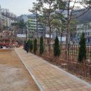 낙성대 숲속공원 이미지