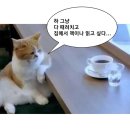 순희네토스트&커피 | 늦여름을 보내는 일상 모음 [도토리상점 필터/ 첫 사과/ 브레빌 펠트 워셔 교체/ 비건 베이킹/ 가로수길...