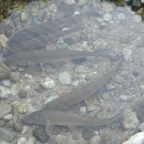 여울안경 이미지