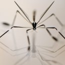 WITH PC zone 이미지