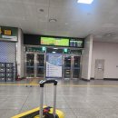 동방명주노래연습장 | 중국 상하이 여행 1일차 KE881 대한민국임시정부부터 크리스마스마켓 동방명주 야경 스냅까지