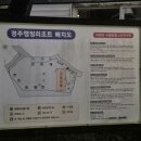 경주 캠핑573