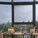 중앙동323 이미지