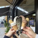 해리단길 | 부산 해운대 카페 모루씨 해리단길점 방문후기 부산애견동반카페