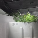 우리 | 그라운드시소 한남 일러스트 전시 [성률 기획전: 여름을 닮은 우리] 후기