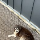 스피드존 이미지