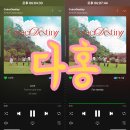 [다홍] 위키미키 Weki Meki [CoinciDestiny] 스트리밍 인증 이미지