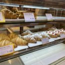 시간을들이다 이미지