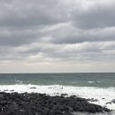 솔지카페 | [제주여행] 3박4일 가족여행 코스 Day3 :: 중문수두리보말칼국수,오설록,해녀의집,솔지식당