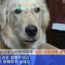 행복횟집 이미지