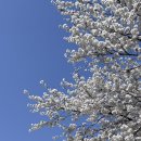 달이 머무는 집 이미지