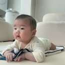 루틱스 | 신생아요로감염 서울성모병원입원 신생아입원준비물 신생아역류검사