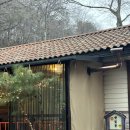 대화 족구장 | 대전 장태산 힐하우스(햇빛글램핑A)단체 여행 후기 –성인 9명+아기+강아지