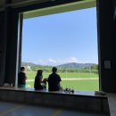 컴페니언 펫 이미지