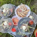 논일농장 이미지