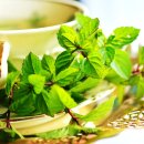 SY공인외국어번역행정사 이미지