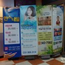 뽑다벅스 이미지