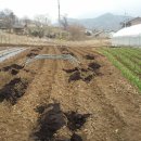 감당농장 이미지