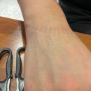 하단동122 | 부산 덕천 맛집 추천 부드럽게 발리는 불향 가득한 살코기가 매력적인, 덕천 하단쪽쪽갈비