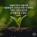 큰산바다 이미지