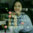 영아트 Daum카페