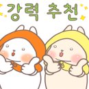 서우나무