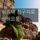 강통신 이미지