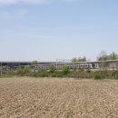 반구정습지 이미지