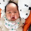 써니크리닝 이미지