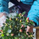 완주군노인복지센터 이미지